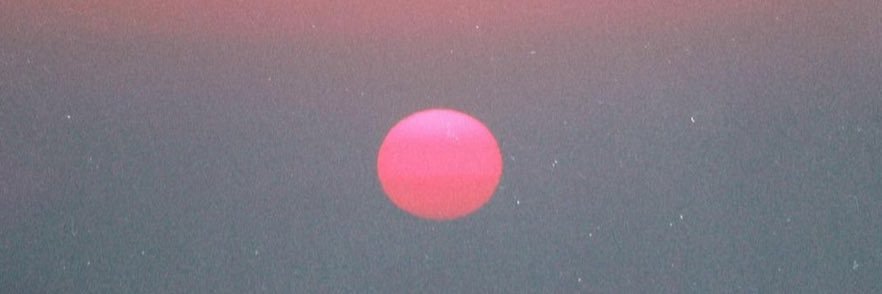 ronnyhorner's profile banner image