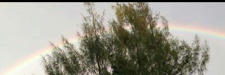 Lyemz's profile banner image