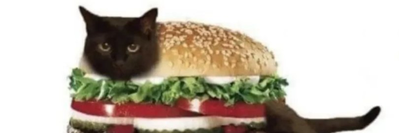 Lettuce Burger Extra Lettuce banner