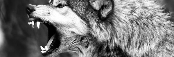 xjackdayton's profile banner image