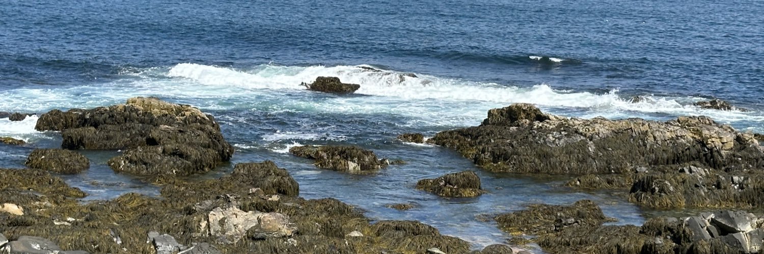 Come in from the noise for awhile banner