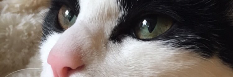 Jillian_Barber's profile banner image