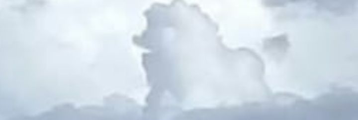 Manoelef's profile banner image