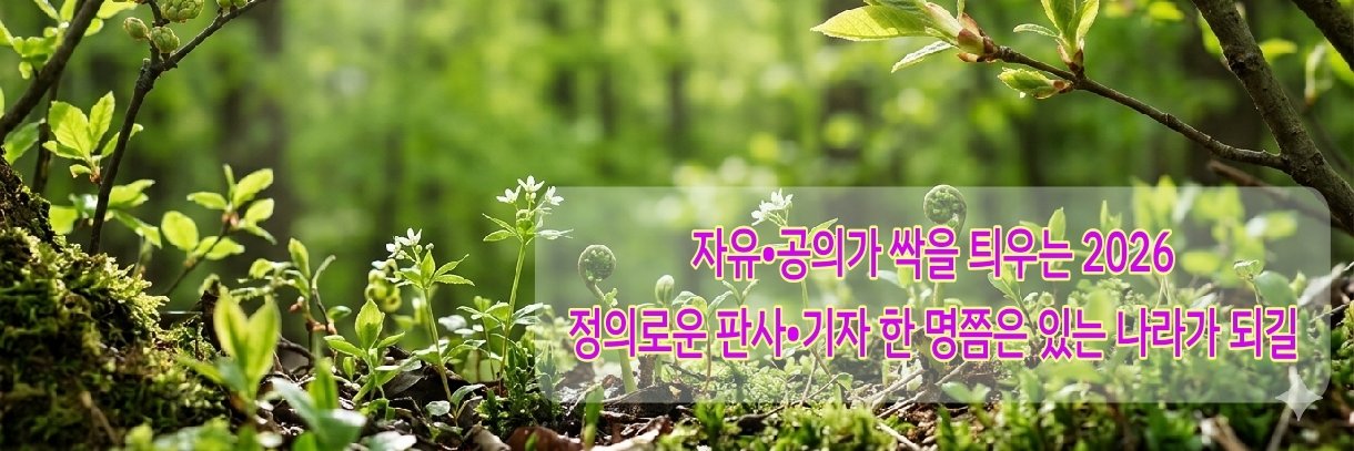 minwoon's profile banner image