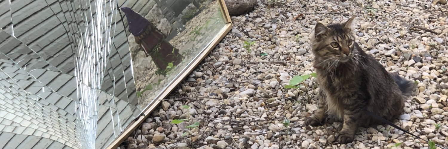 jfries34's profile banner image
