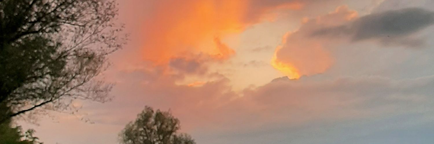 Aliceislovely's profile banner image