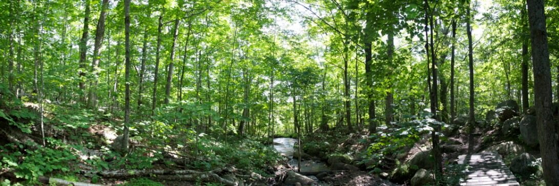 Andrew Irvine banner