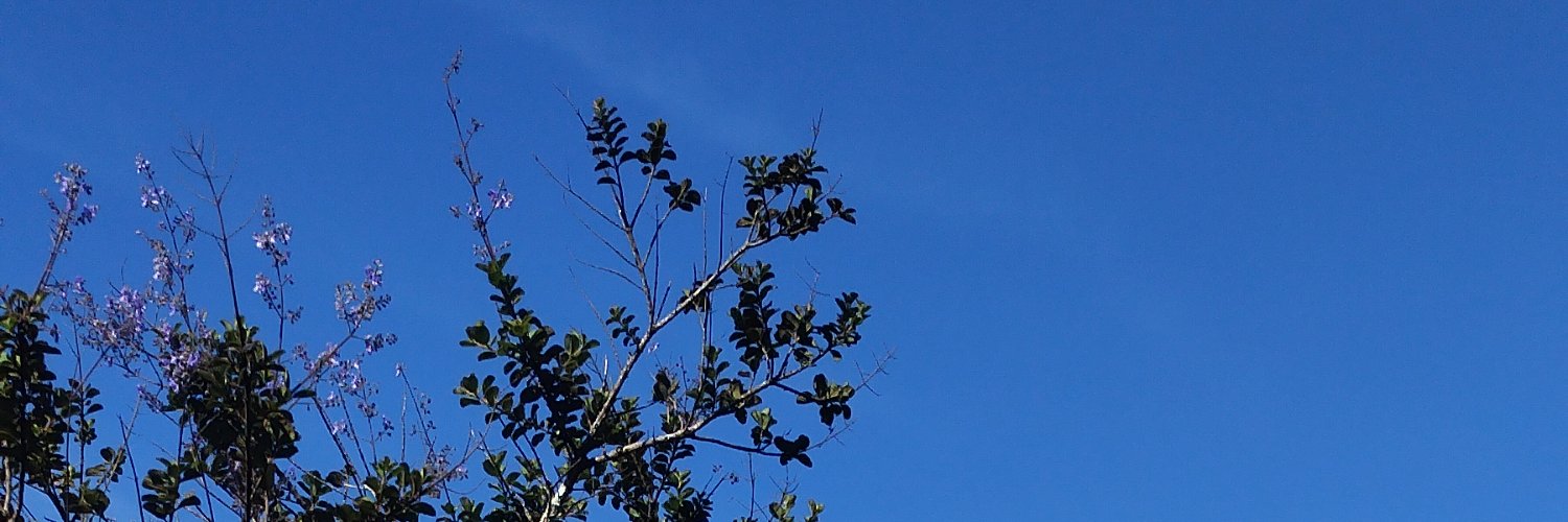 allofjenny's profile banner image