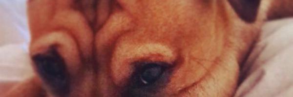 mozzer36 Profile Banner