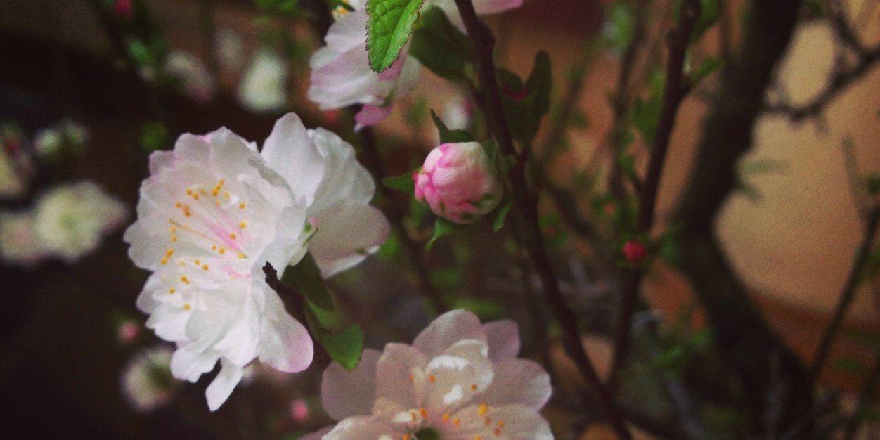 catherine5989's profile banner image