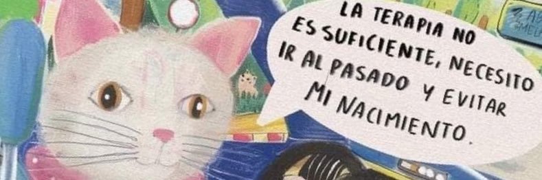 Ruivaninha's profile banner image