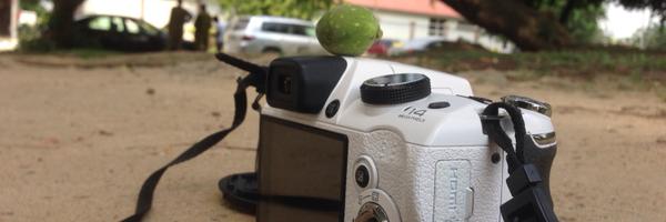 efe_akpofure Profile Banner