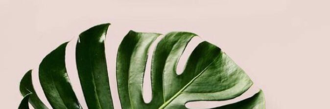 BarbaraPatricio's profile banner image
