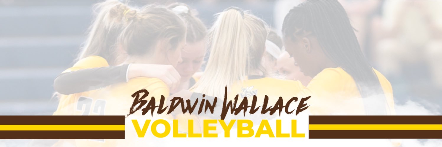 BW_wvolleyball's profile banner image