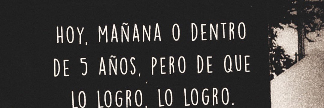 🦦 banner