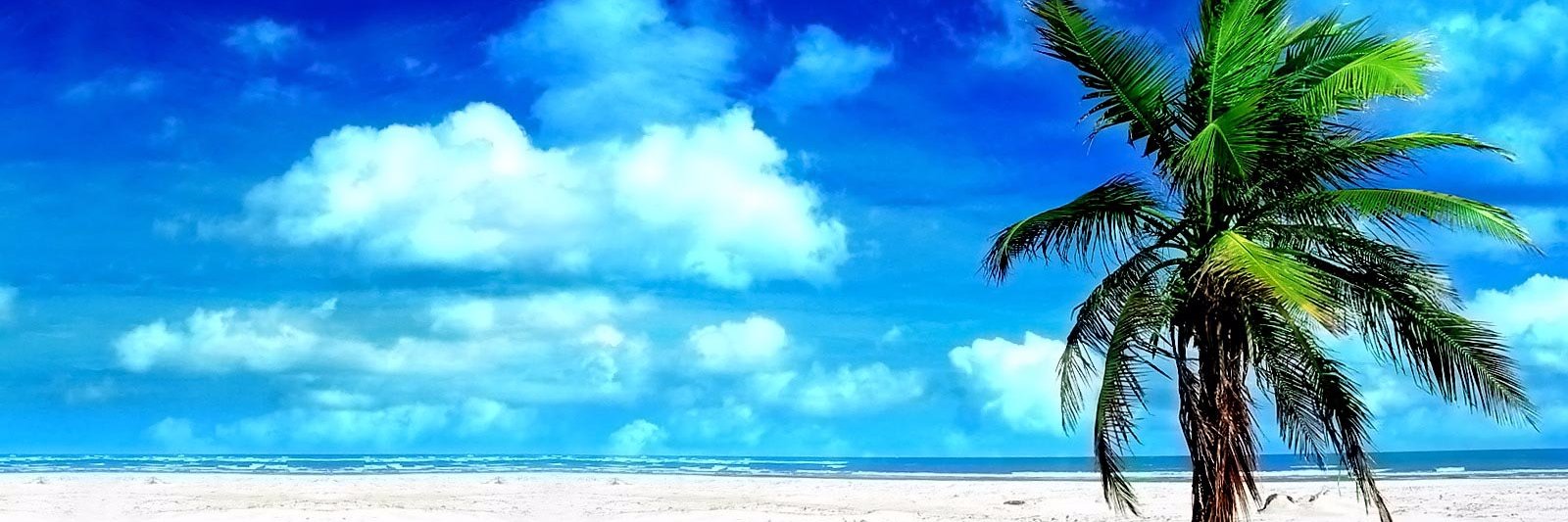 msarevalo's profile banner image