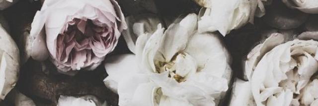 miss_slasher2's profile banner image