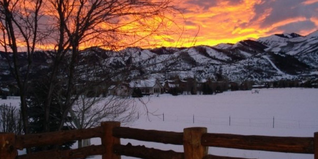 Carolyn Mooney banner