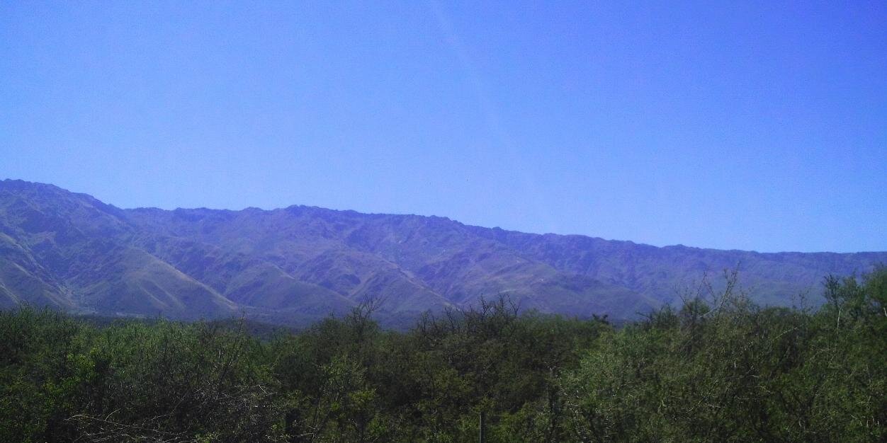 Sol Saucedo banner