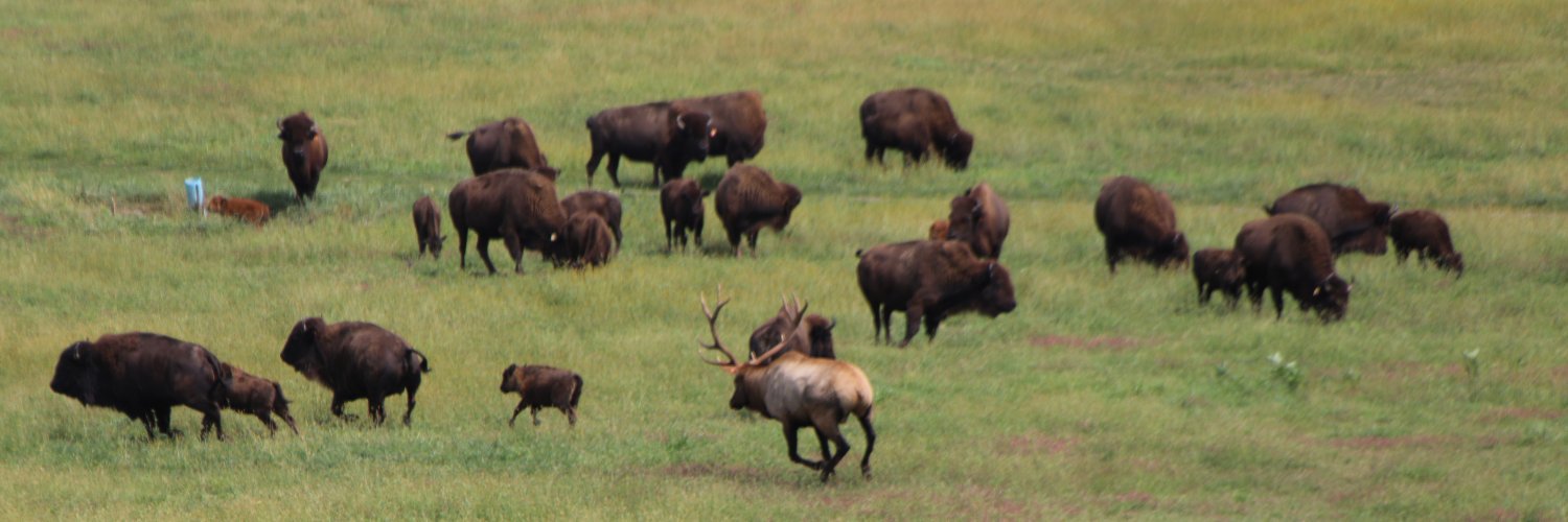 WildlifePrairiePark banner