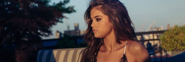 standforselena's profile banner image