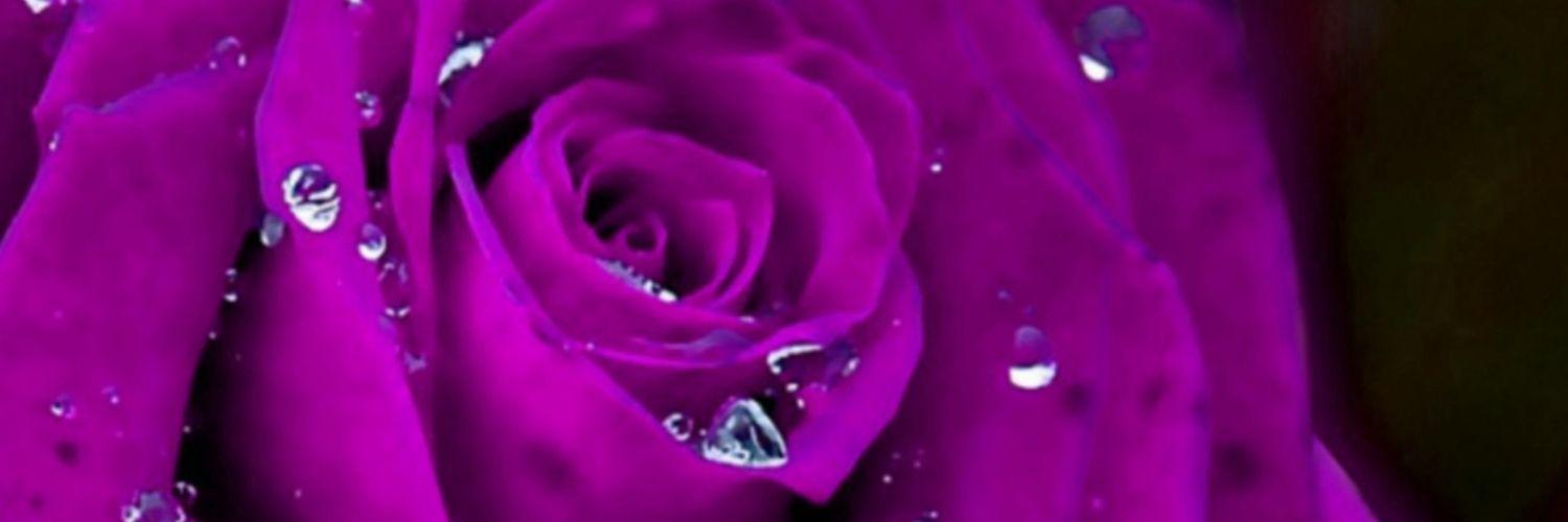 miss_chicks's profile banner image