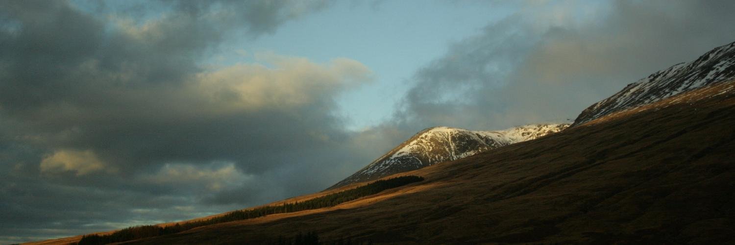 we_harding's profile banner image