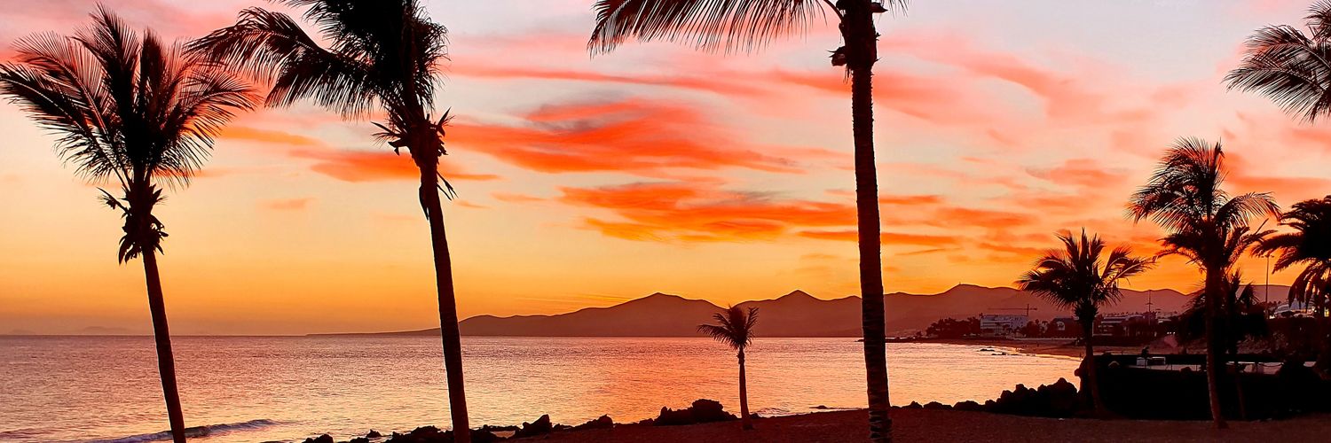 Blues Brother banner