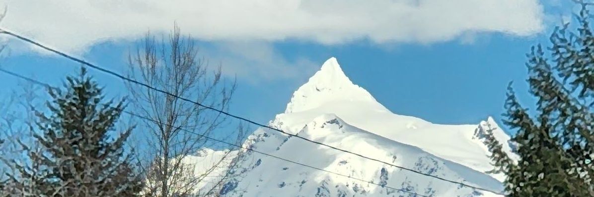 genokc's profile banner image