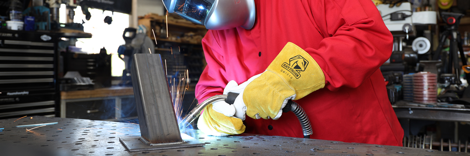 Black Stallion | BSX banner