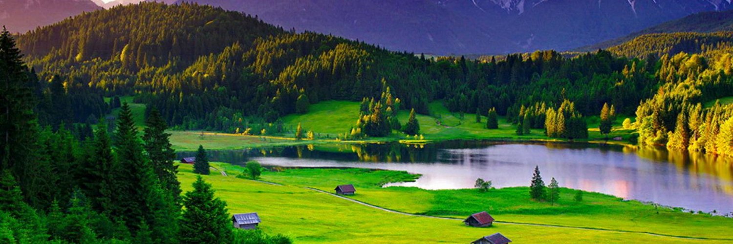 Love nature banner