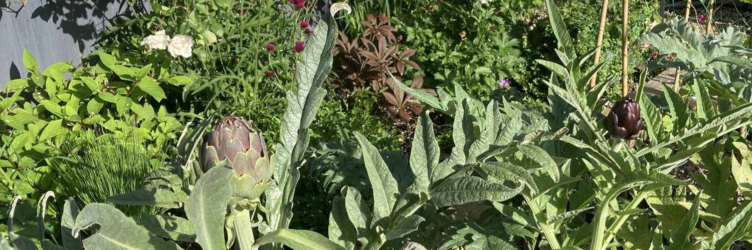 Maura Appleby banner