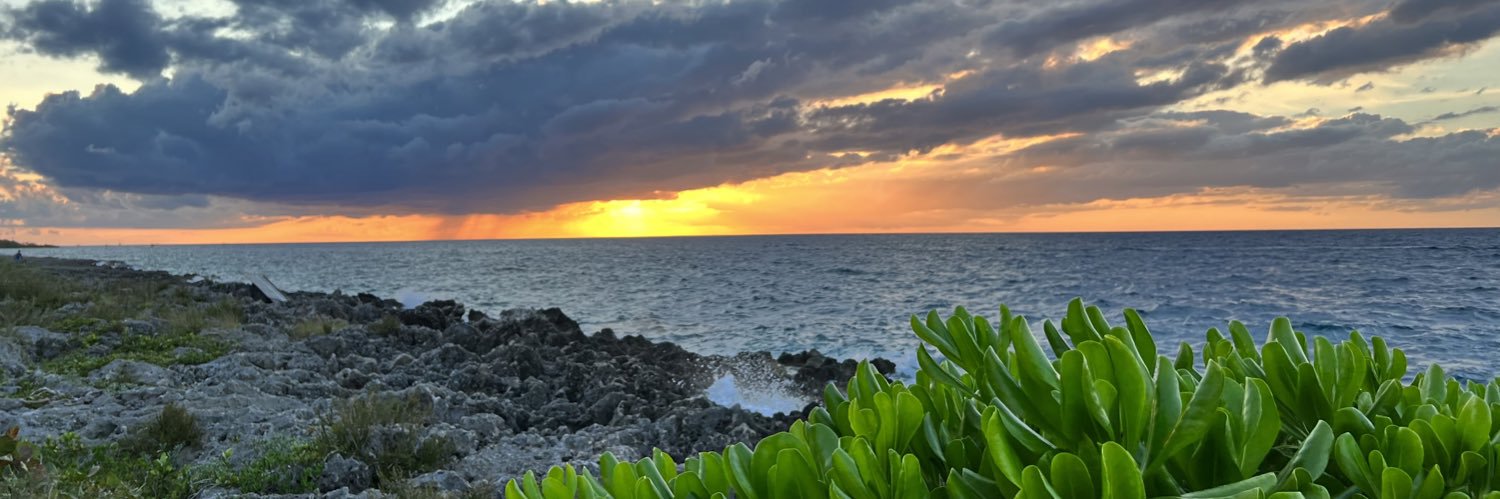 rodolfotsantos's profile banner image