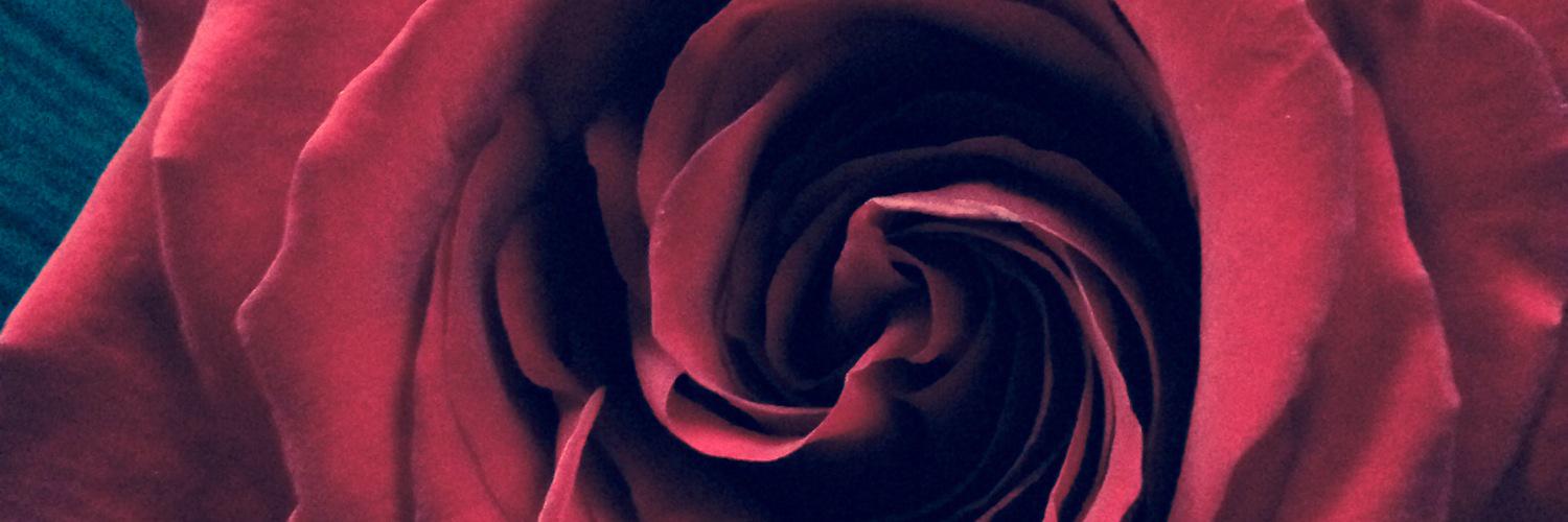 KCSneed's profile banner image