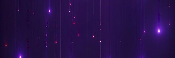 raiderette_ Profile Banner