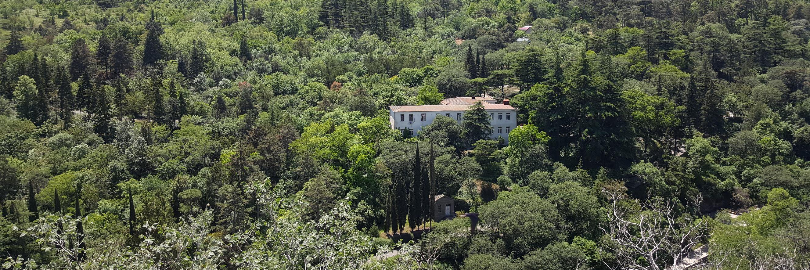Kishali's profile banner image