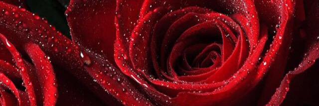 Laura_Harris93's profile banner image