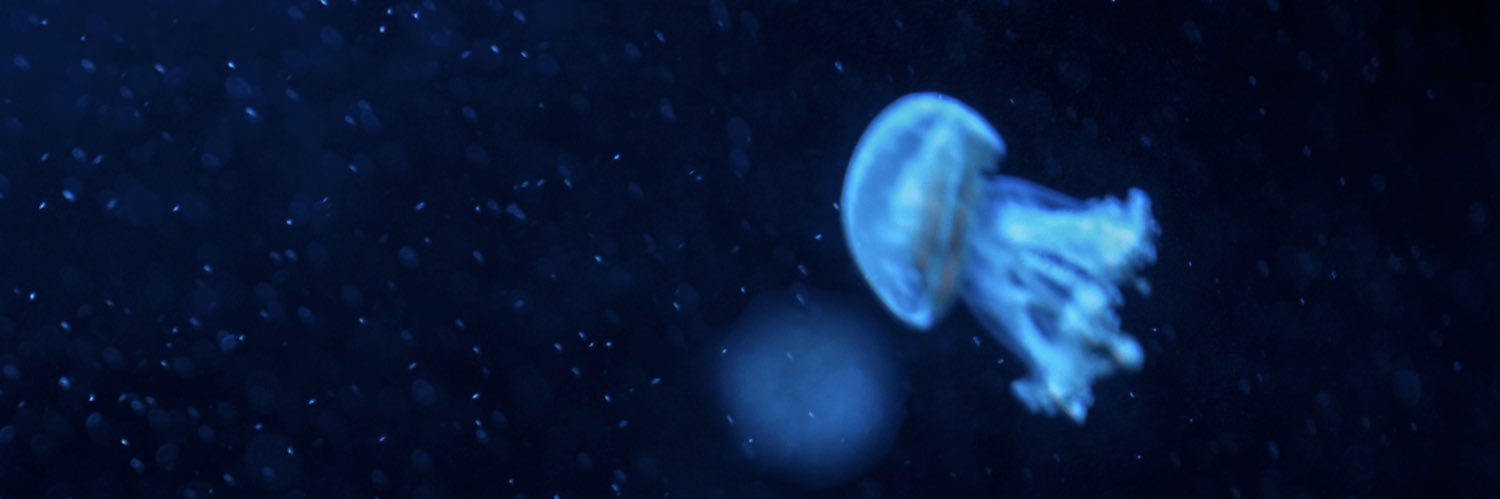 lakxs's profile banner image