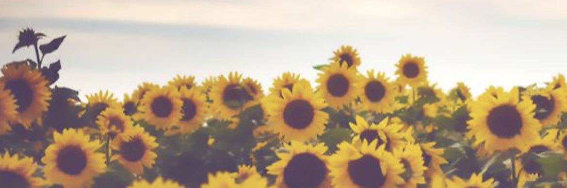 Breanna_Kay16's profile banner image
