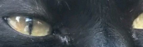RoyVallance's profile banner image