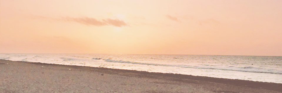 chechu_abeti's profile banner image