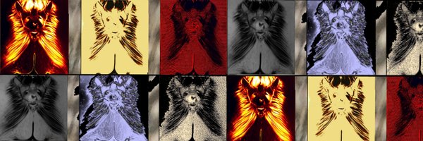 GabrielaMoslein Profile Banner