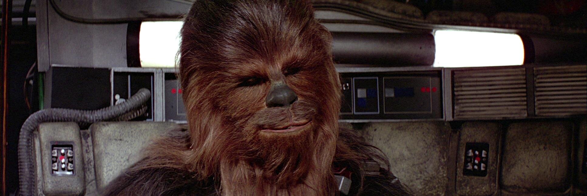 Chewbacca banner