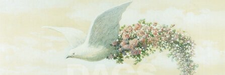 ✨Katre 🐾 banner