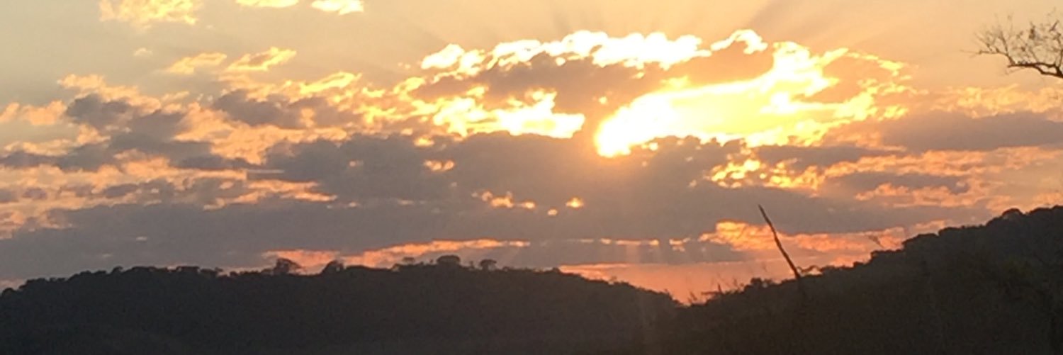 mariamagella's profile banner image