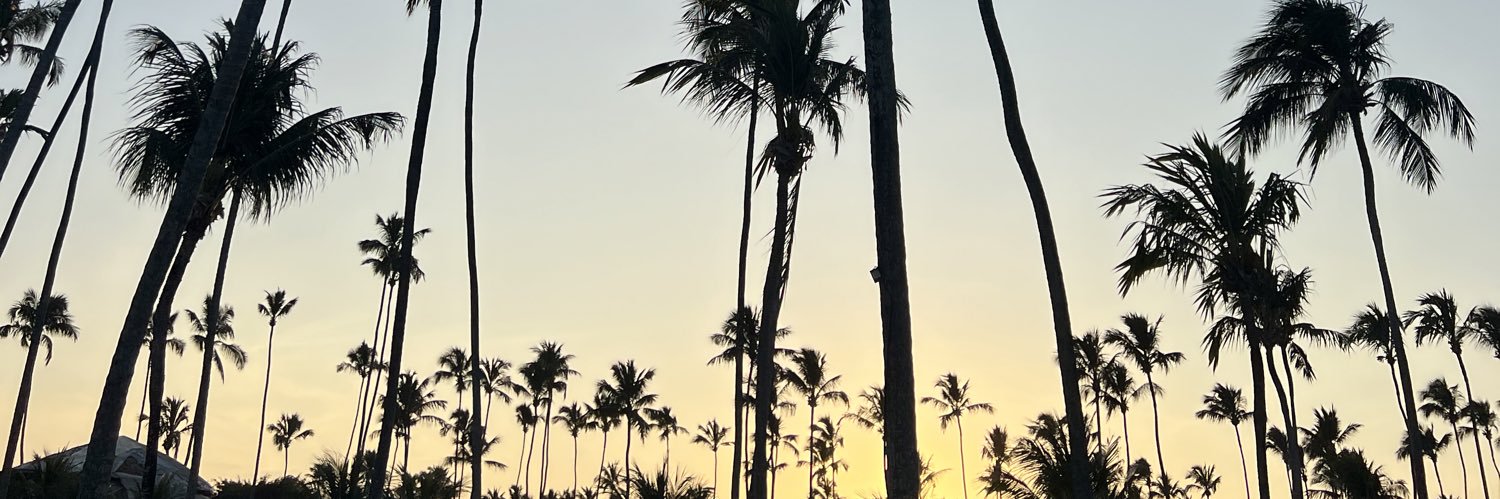 ronipelegrine's profile banner image