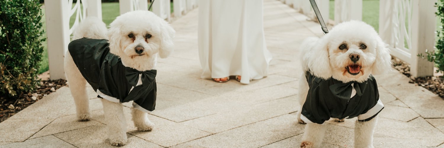 Alexandra Laird banner