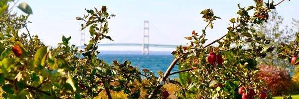 Samantha Radecki banner