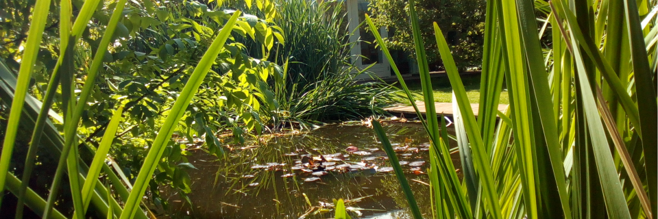 Herman Vruggink banner