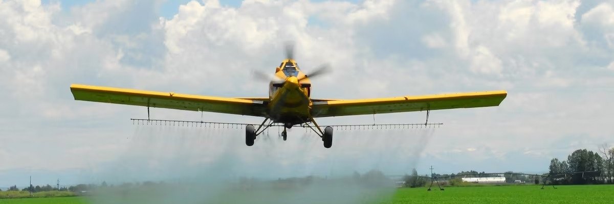emme_ge's profile banner image
